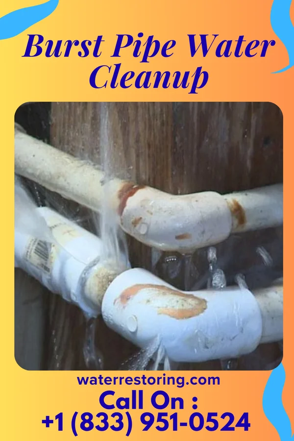 Burst Pipe Water Cleanup in New Baltimore, PA