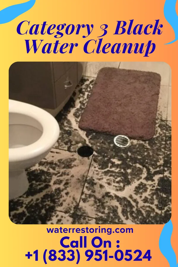 Category 3 Black Water Cleanup in New Baltimore, PA
