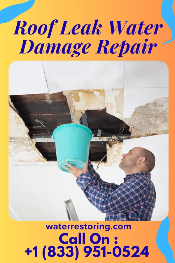 Roof Leak Water Damage Repair in New Baltimore, PA