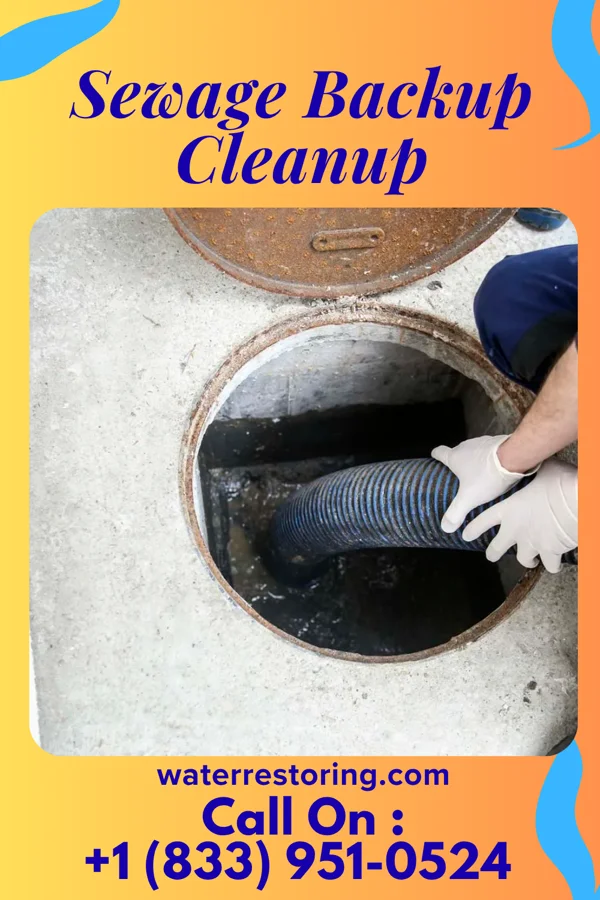 Sewage Backup Cleanup in New Baltimore, PA