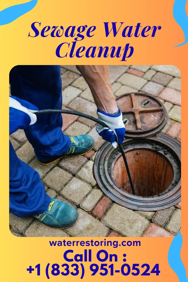 Sewage Water Cleanup in New Baltimore, PA