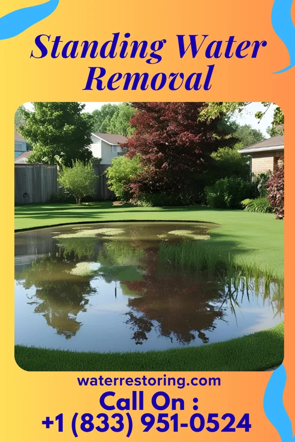 Standing Water Removal in New Baltimore, PA